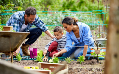 10 Benefits of Starting a Family Garden and Composting