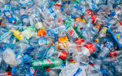 10 Simple Steps to Reduce Plastic Waste in Your Daily Life