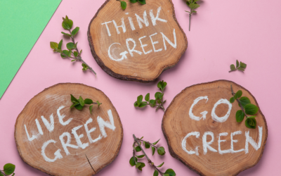 10 Simple Steps to Kickstart Your Green Living Journey
