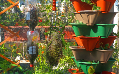 Sustainable Gardening in Urban Spaces: Tips for Apartment Dwellers